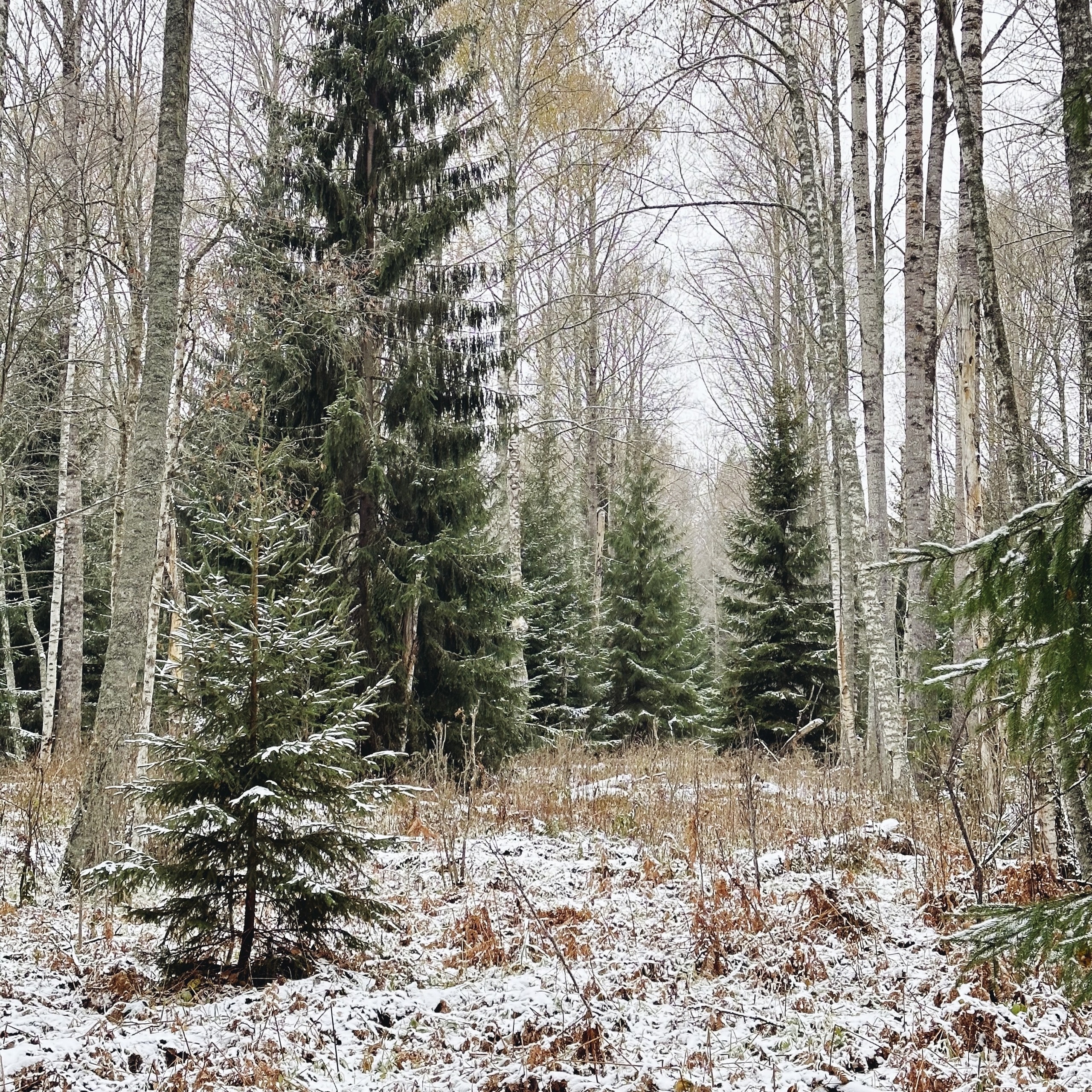 В НАЛИЧИИ. Стога, последние лучи солнца. Холст, масло, 65.6х100.6 см, 